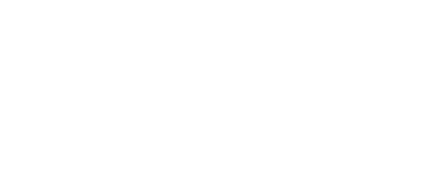 logo bottom